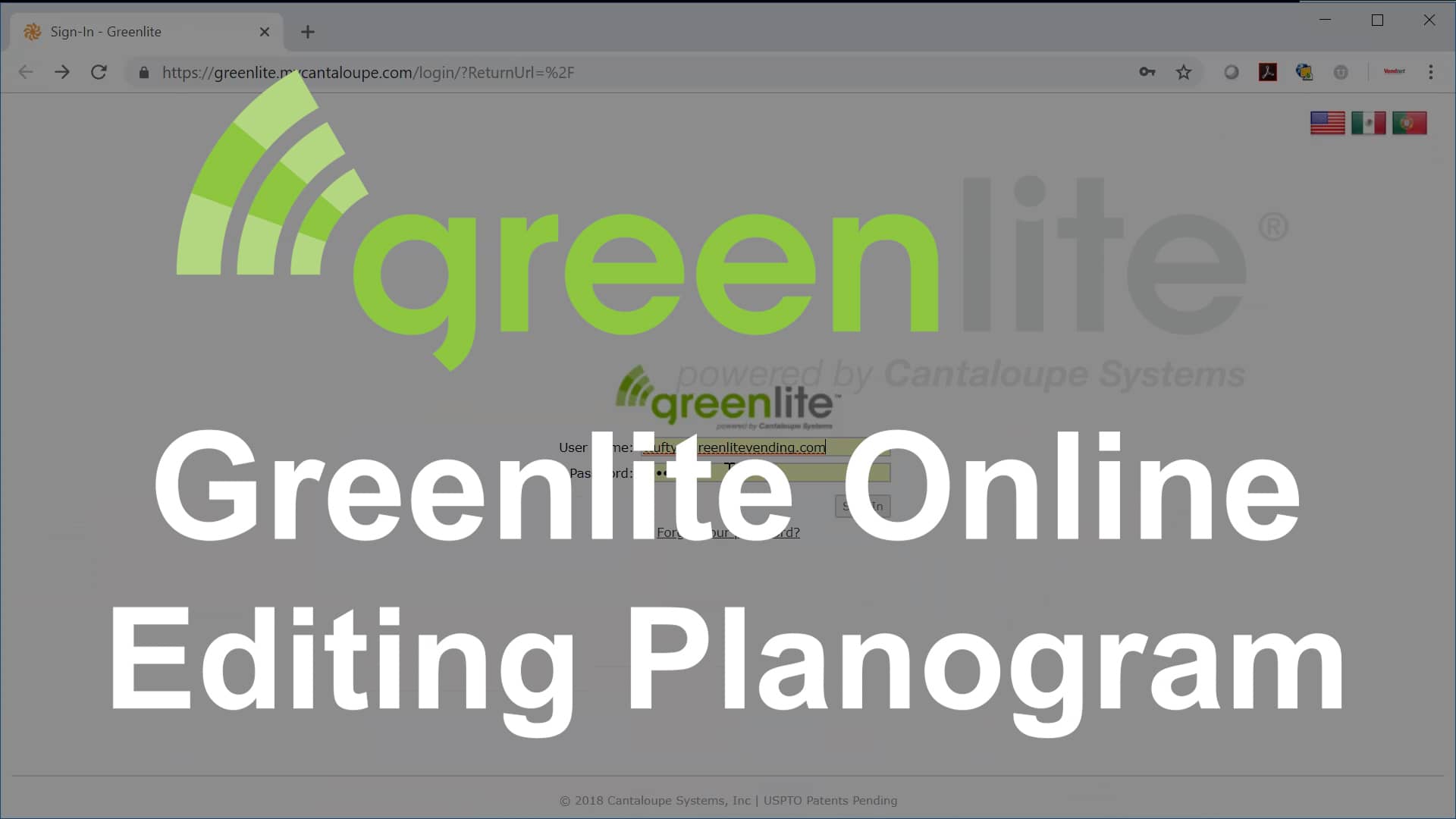Greenlite: Editing Planogram