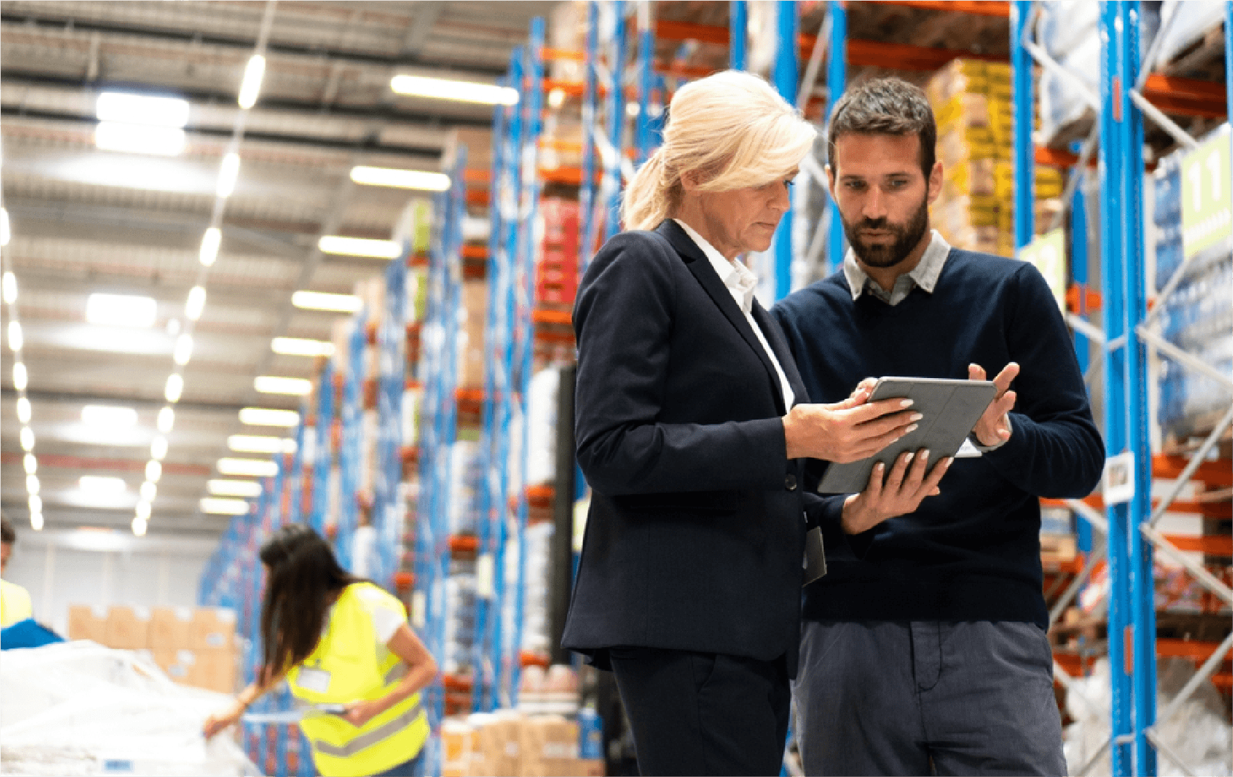 Warehouse Management300