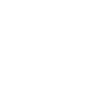 Customizable Icon