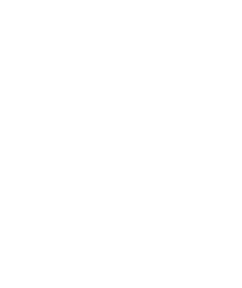 Custom-Graphic-Wrap-Icon1