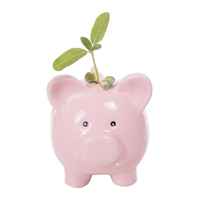 Image of Piggybank with plant on top