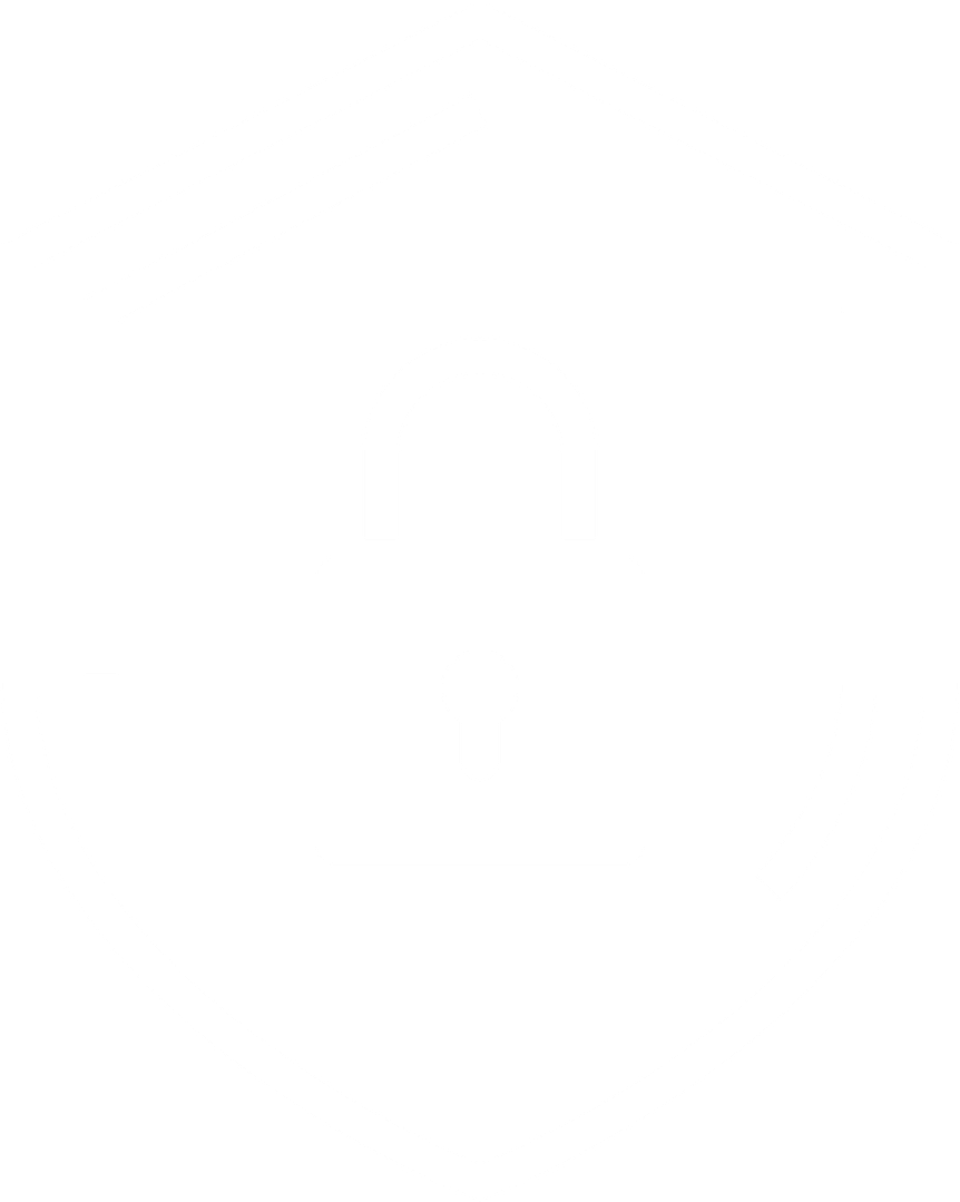 Secure Icon
